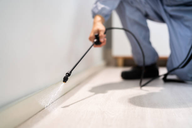 Professional exterminator conducting IPM assessment in Fairfax Station